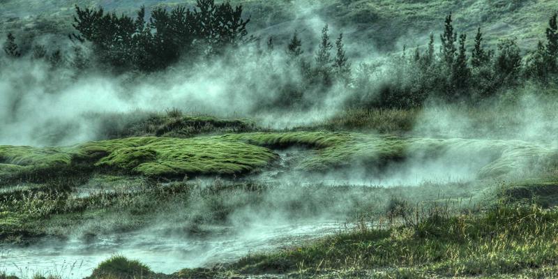 2024全球主流资讯App深度评测：娱乐新闻与温馨治愈如何重塑信息门户体验