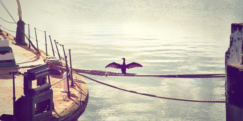 AI赋能综合资讯平台：如何重塑新闻与科技资讯的生产与分发