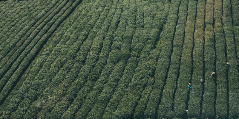 Z世代资讯消费新趋势：打造温馨治愈的生活资讯门户，如何俘获年轻用户的心