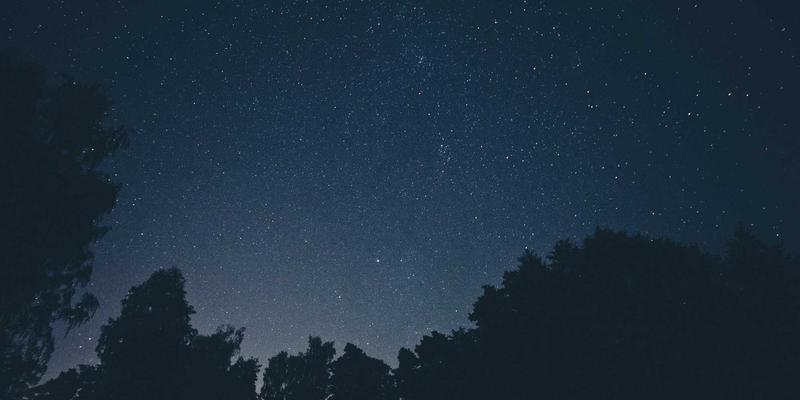 从娱乐新闻到科技资讯：如何设计社交功能构建内容共创生态