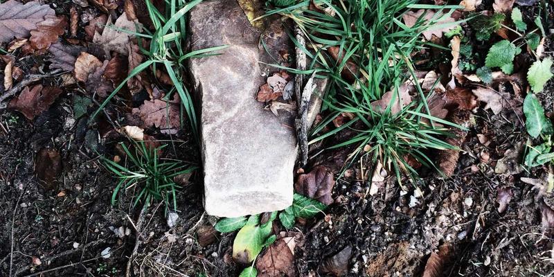 从新闻到治愈：本地化信息门户如何打造有温度的社区连接