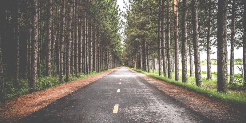 从新闻到生活：综合资讯如何重塑我们的信息获取方式