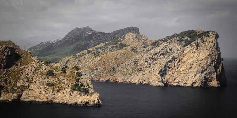 从新闻推送到智能解答：资讯平台如何以“搜索即服务”满足用户对新闻与科技资讯的深层需求