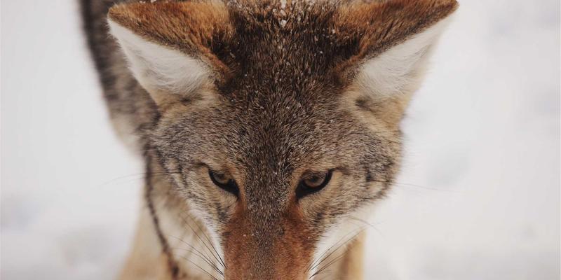 后真相时代，信息门户与生活资讯平台如何构建事实核查机制以重塑公信力