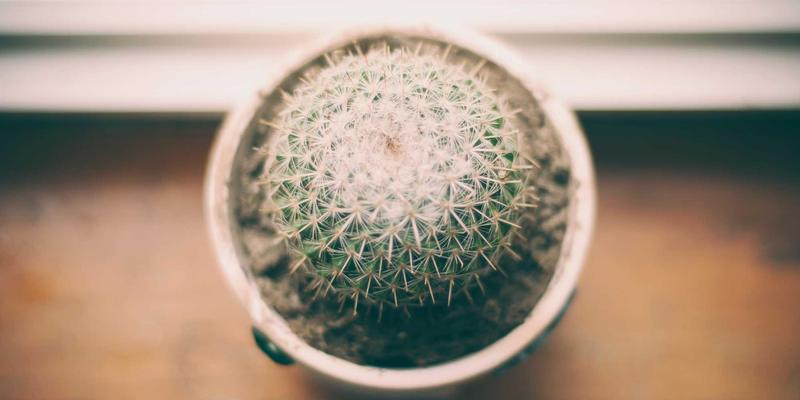 在喧嚣时代重拾生活温度:一份治愈系生活资讯指南