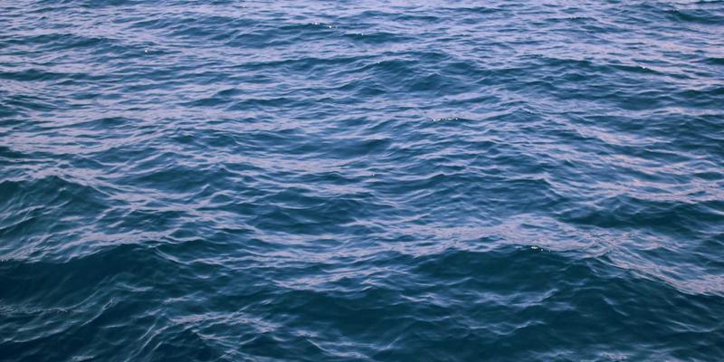 大数据如何重塑资讯体验：从生活资讯到温馨治愈内容的精准推送