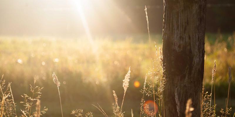娱乐新闻与信息门户的社交化革命：如何通过集成分享讨论功能提升用户粘性