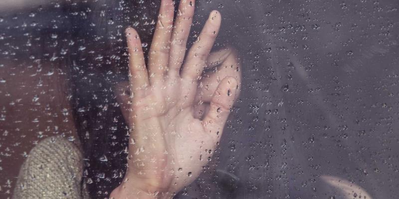 娱乐新闻中的温馨治愈力量：在喧嚣时代寻找心灵栖息地