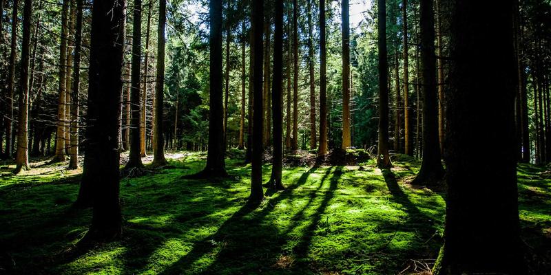 当科技资讯遇上温馨治愈：物联网如何重塑车载与智能家居中的信息消费