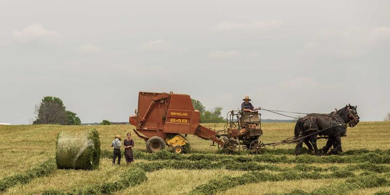 新闻与生活资讯的融合力量：综合资讯平台在突发事件中的应急报道与公共服务角色