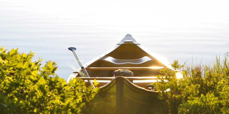 构建内容安全防火墙：AI审核与人工巡查如何守护娱乐新闻与科技资讯平台