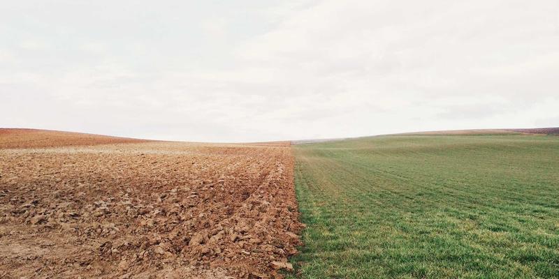 综合资讯38:娱乐与科技如何重塑我们的数字生活?