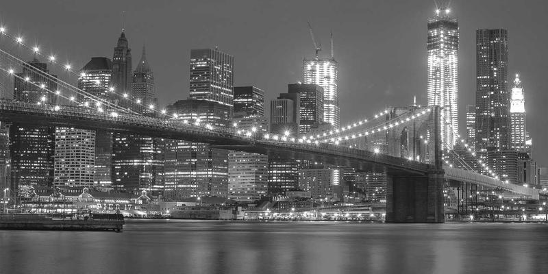 综合资讯51：解码生活与科技的交叉点，掌握新时代信息脉搏