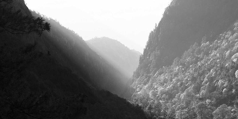 综合资讯App界面设计与用户体验优化策略：打造高效信息门户