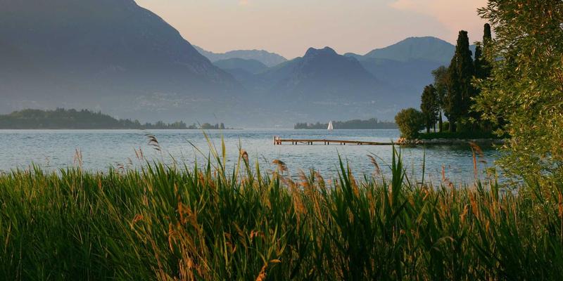 综合资讯平台如何拥抱银发时代：适老化改造与温馨治愈内容战略