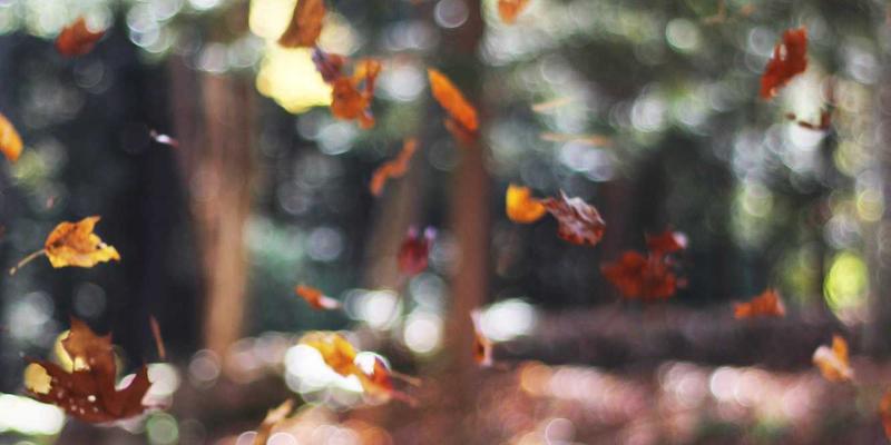 资讯消费场景碎片化：综合平台如何优化移动端与多终端体验