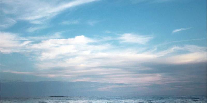 资讯过载时代，综合平台如何以“温馨治愈”之力，重塑深度阅读与思考